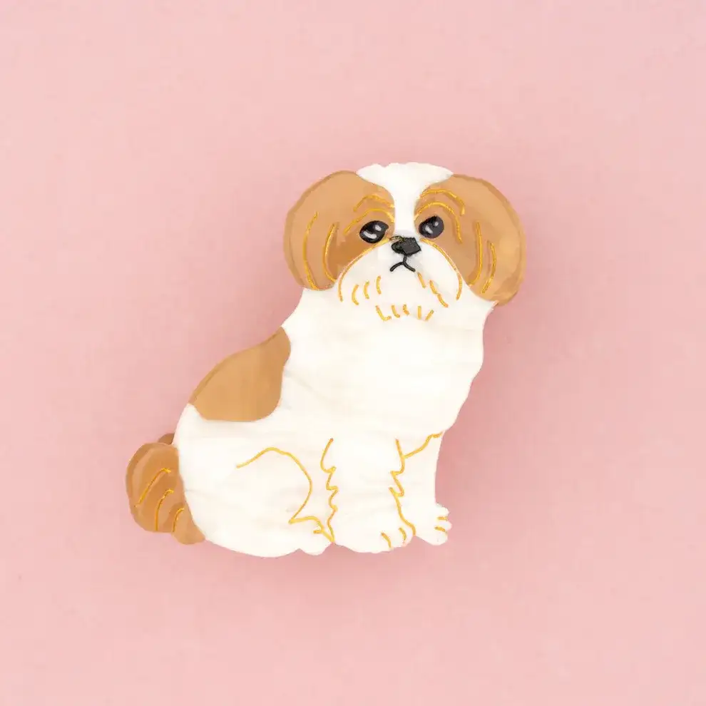Pinza shih tzu / cuckoo suzette