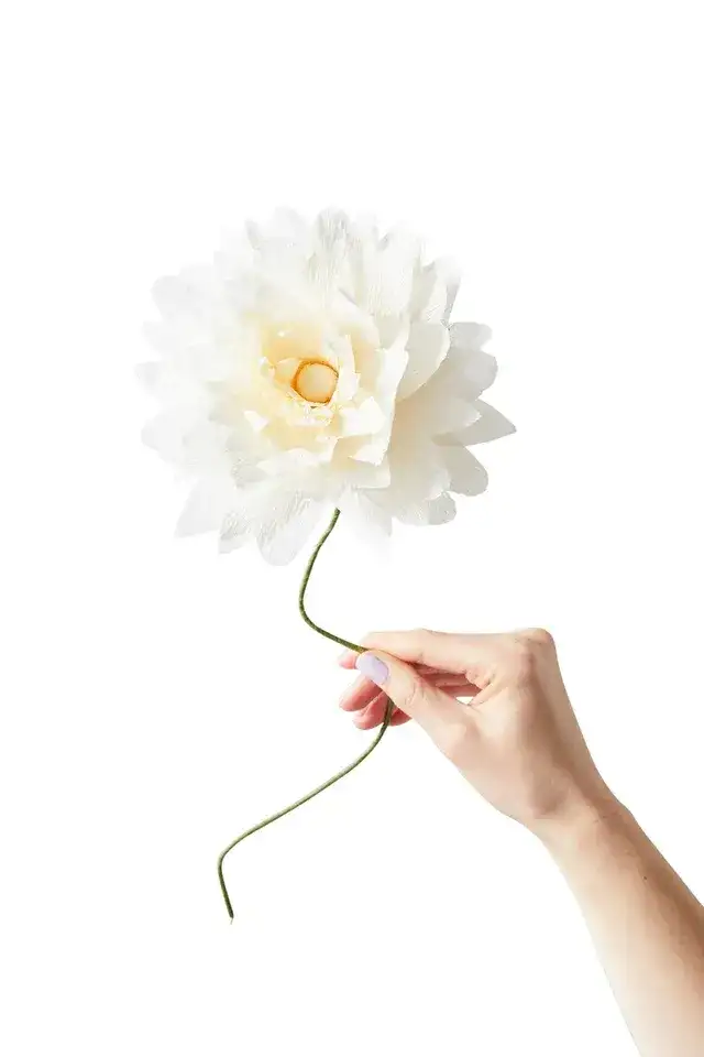 Paper flower (Dalia Grande Arena) / Studio About - Image 2