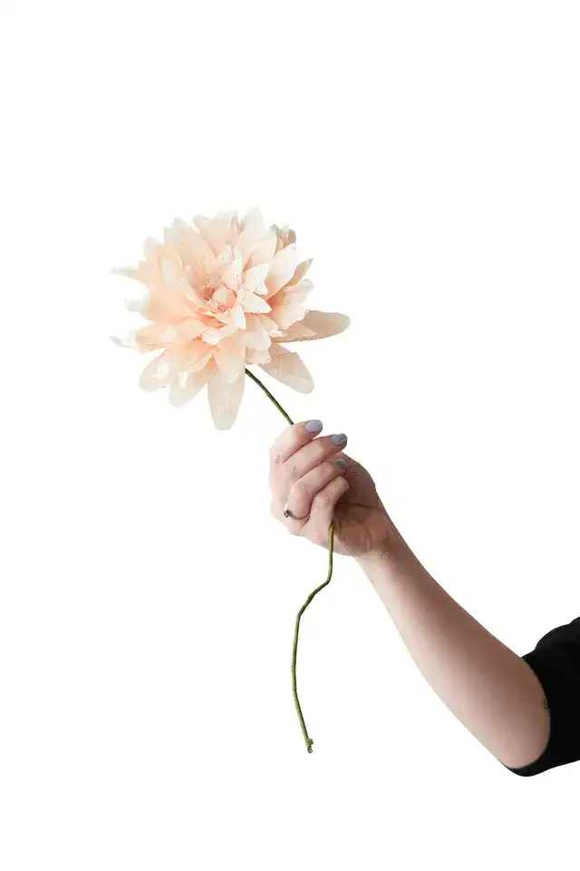 Paper Flower (Dalia Grande Nude) / Studio About - Image 2