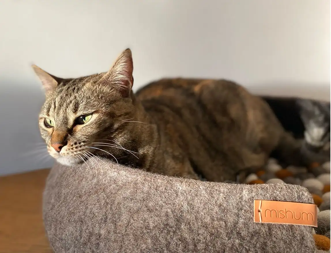 CAMA SIMONA PARA MASCOTAS / MISHUM - Imagen 3