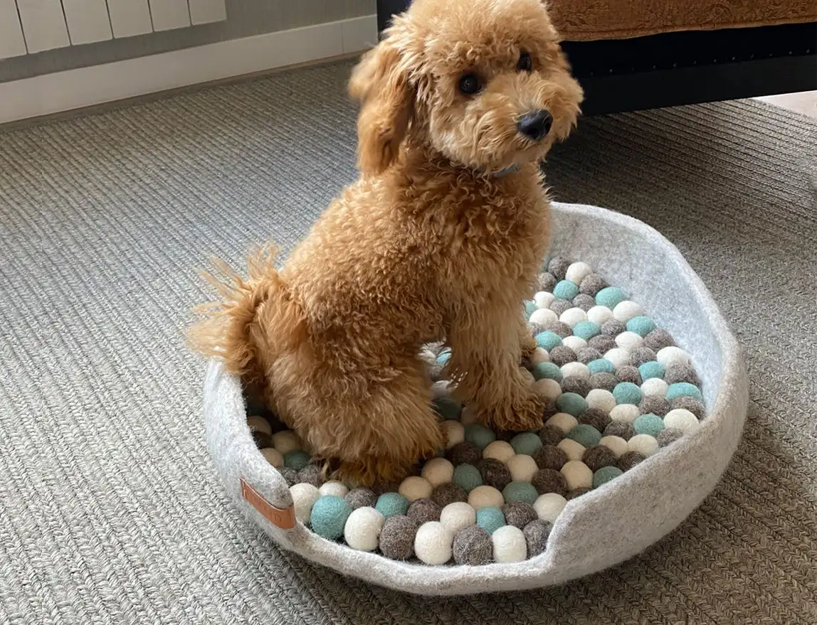 CAMA SIMONA PARA MASCOTAS / MISHUM - Imagen 6