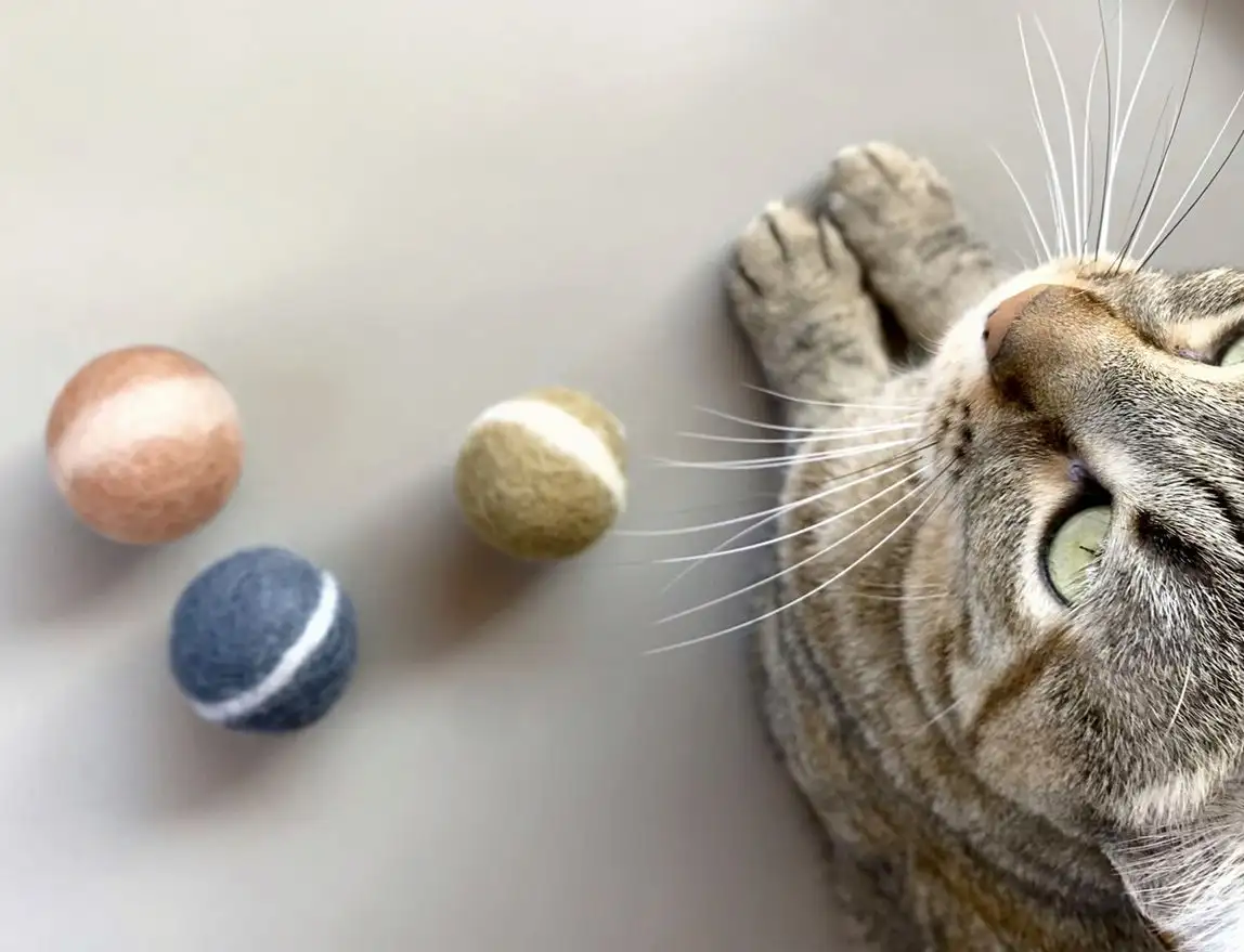 Pack 3 Pet Balls / Mishum - Image 2