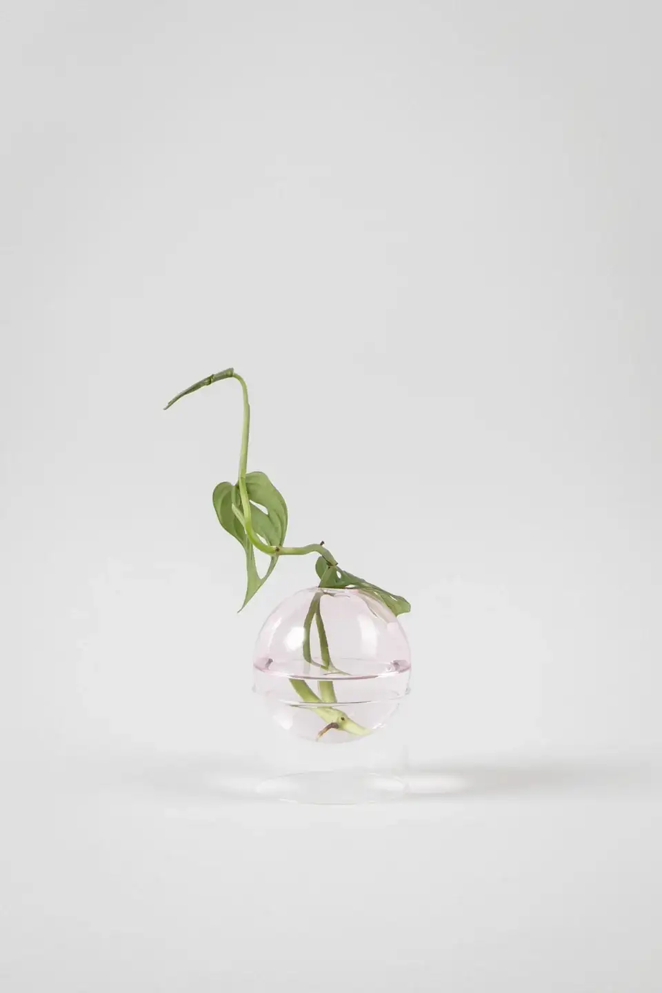 JARRÓN BUBBLE TUBO BAJO ROSA / STUDIO ABOUT - Imagen 3
