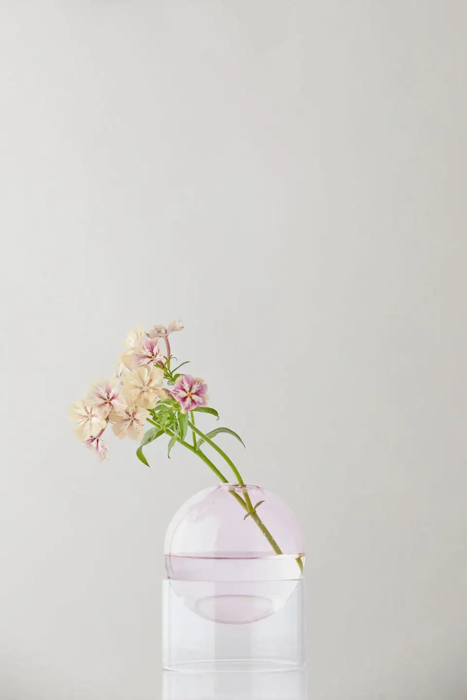 JARRÓN BUBBLE TUBO BAJO ROSA / STUDIO ABOUT - Imagen 4