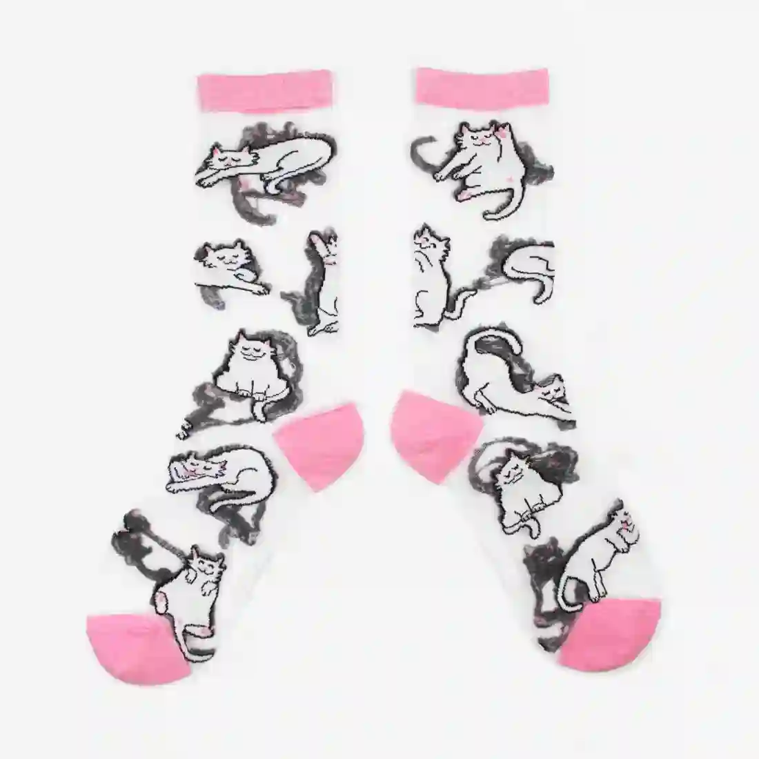 CALCETINES TRANSPARENTES GATO BLANCO /COUCOU SUZZETE
