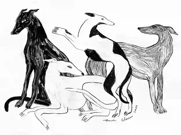 "LOS GALGOS" PRINT / ANA CLERICI