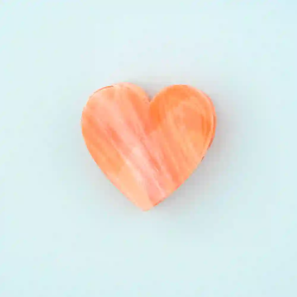 PINZA CORAZÓN ROSA / COUCOU SUZETTE