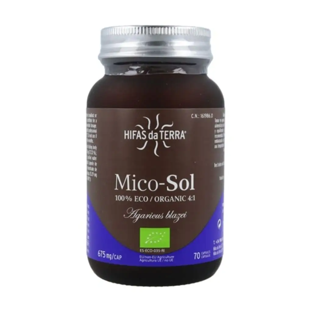 Mico Sol Hifas da Terra