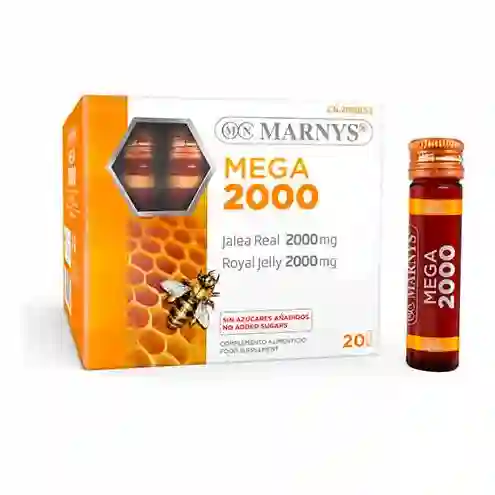 MEGA 2000 MARNYS 20 ROADS