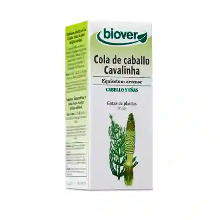 BIOVER HORNER TAKE EQUISETUM ARVENS