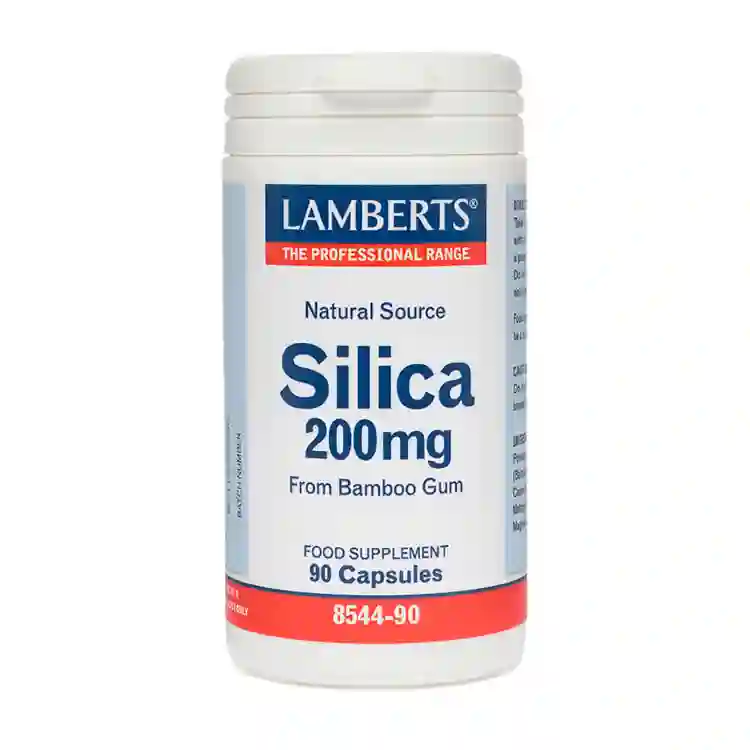 Silicon 200 Mg Lamberts 90 Capsules