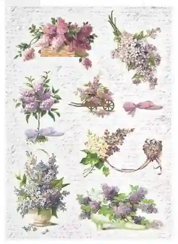 Papel de arroz -  Lilas - 21x29