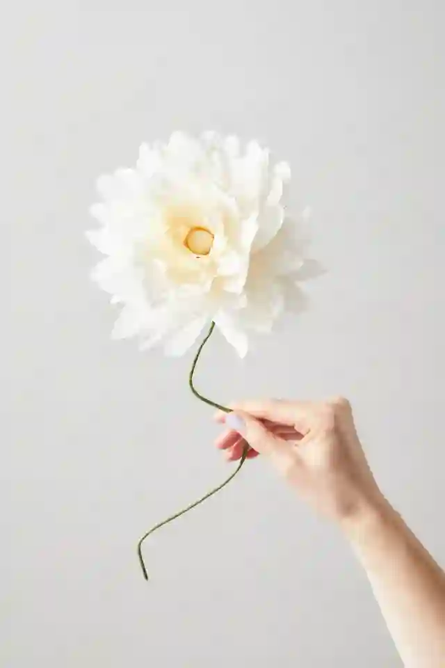 FLOR DE PAPEL (DALIA GRANDE ARENA) / STUDIO ABOUT