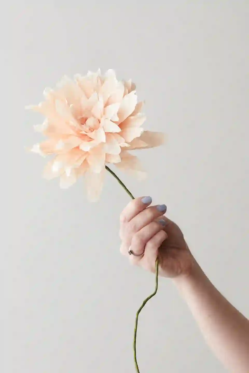 FLOR DE PAPEL (DALIA GRANDE NUDE) / STUDIO ABOUT