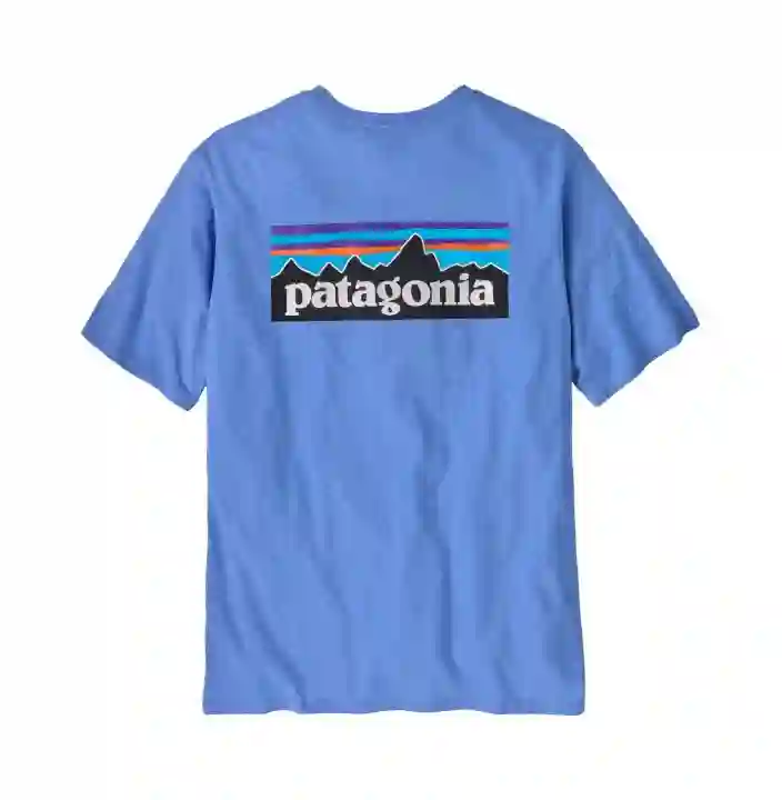 Respuesta del logotipo de Camiseta Patagonia P6