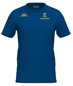 CAMISETA ALGODÓN DE ENTRENAMIENTO