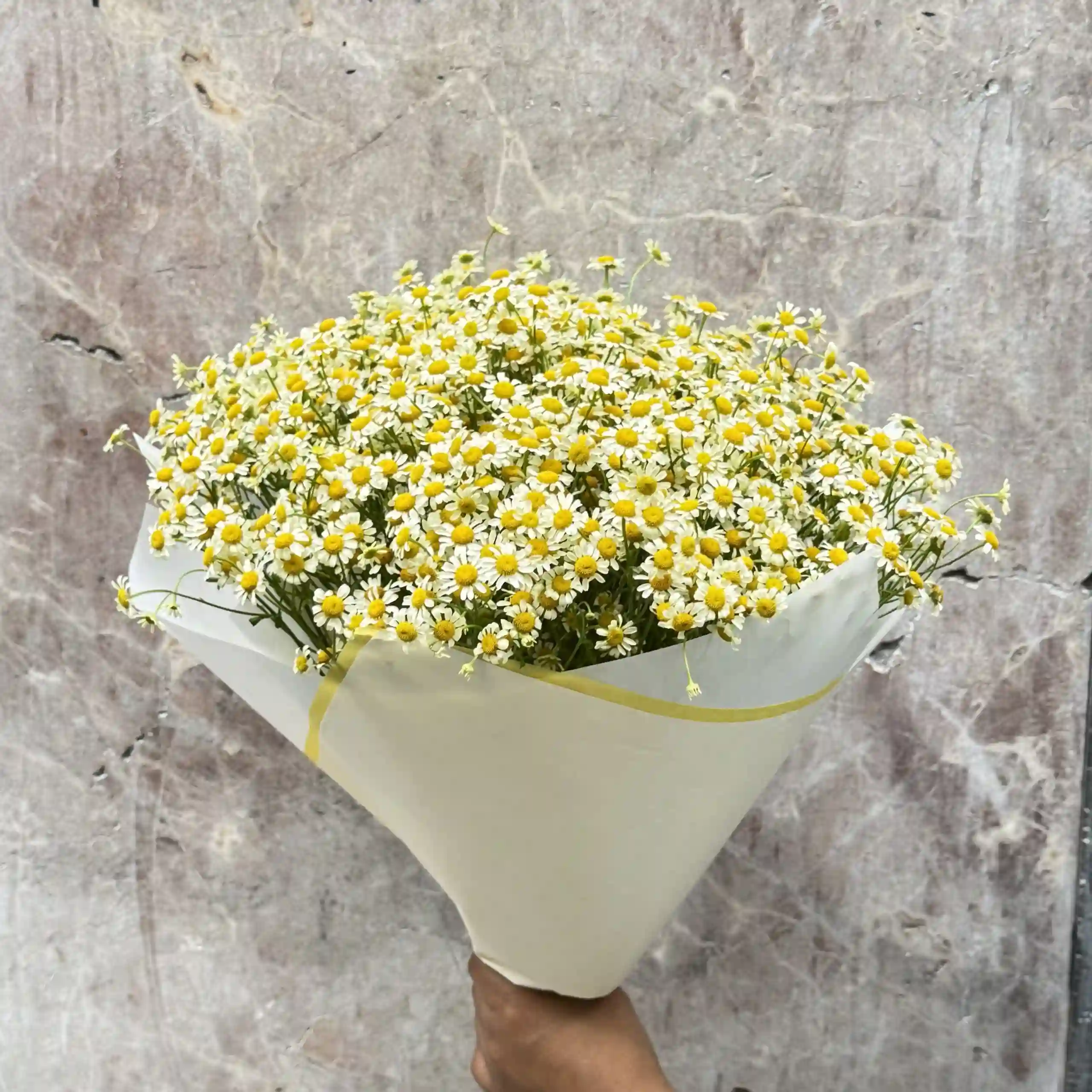 Ramo de Tanacetum