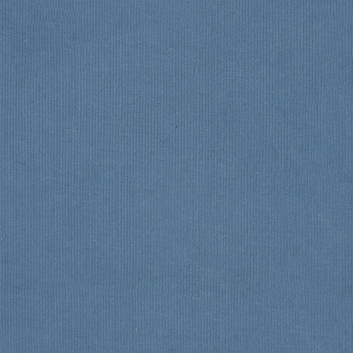 MICRO CORDUROY (pana de punto)