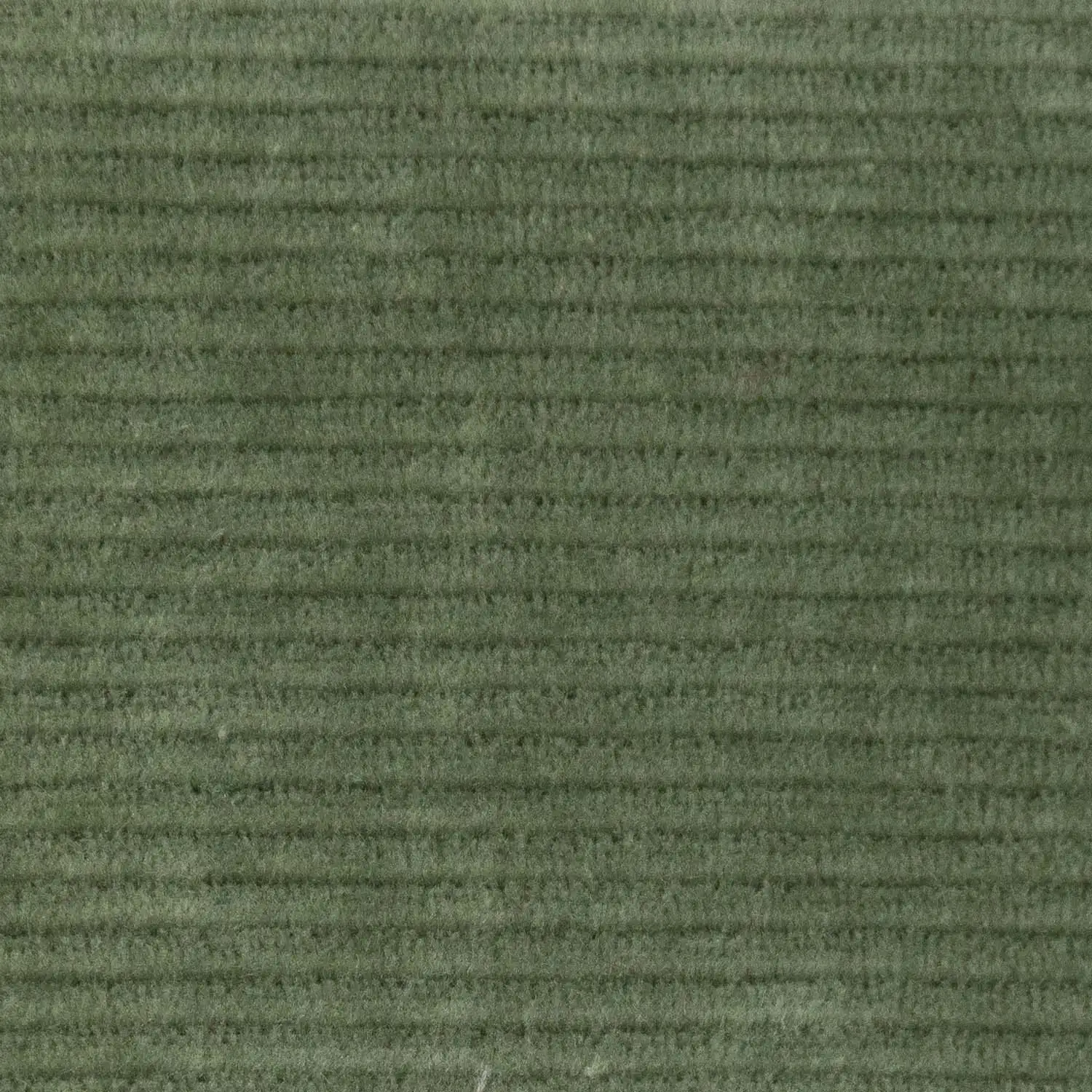 Knit Corduroy - Pana de Punta - Image 9