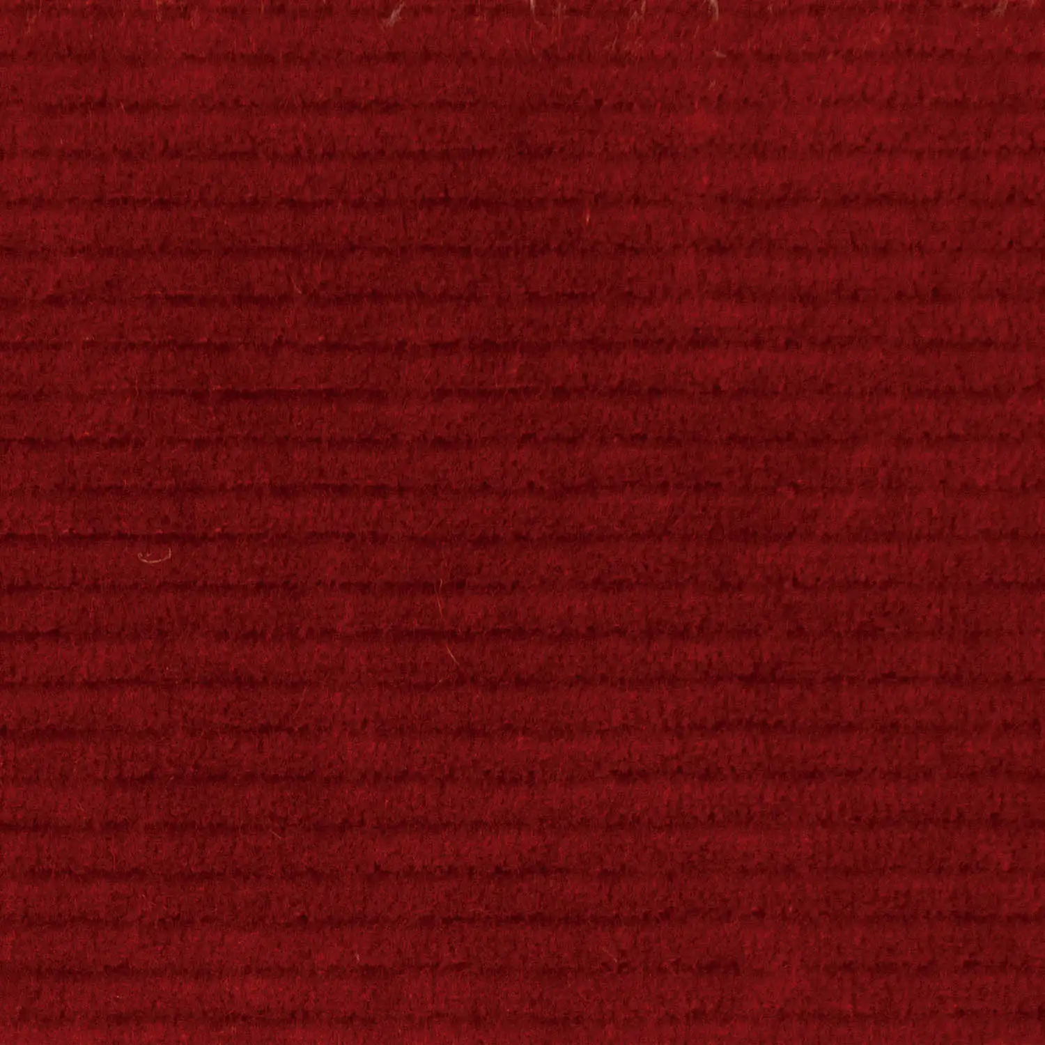 Knit Corduroy - Pana de Punta - Image 11