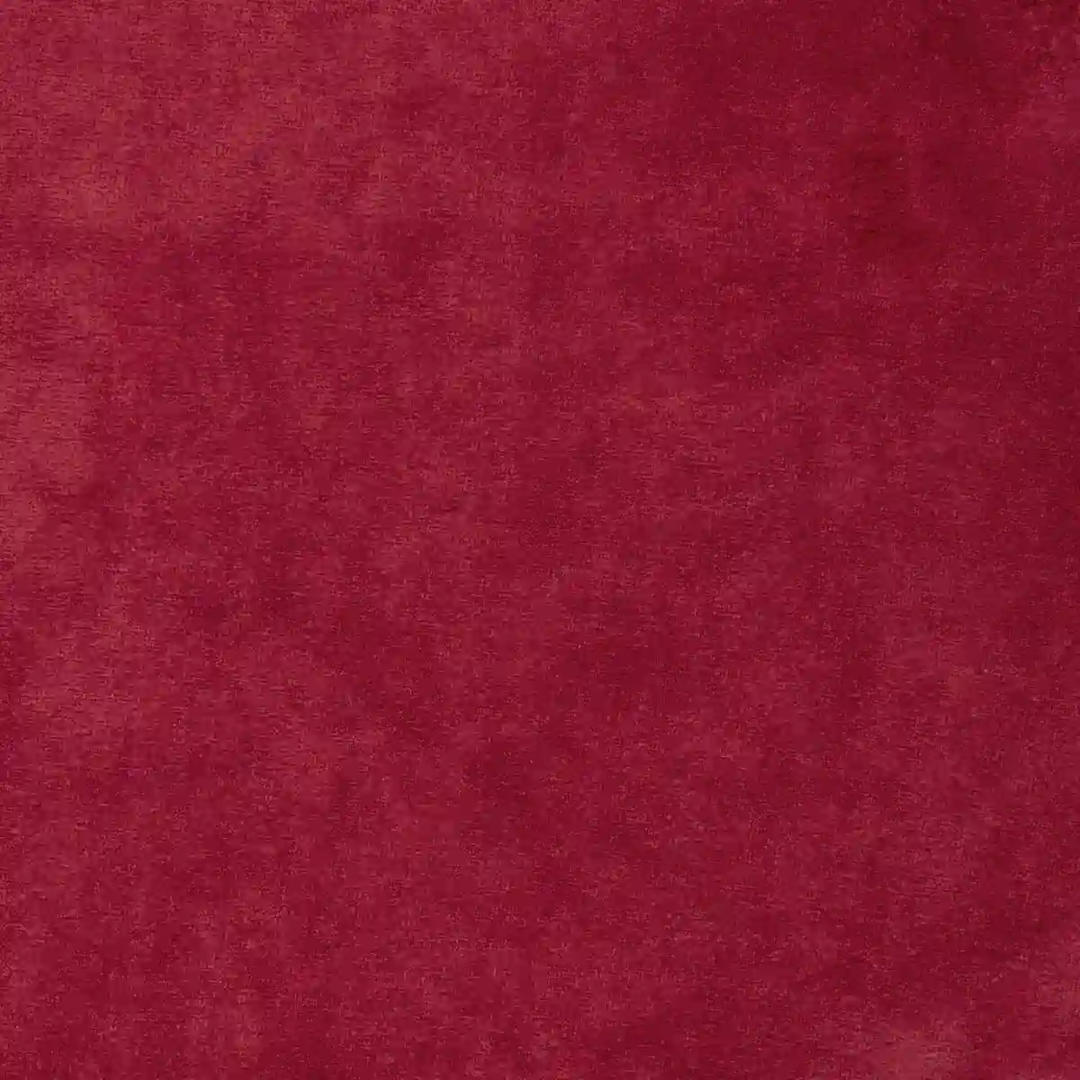 Knit Velvet Cotton - Point velvet