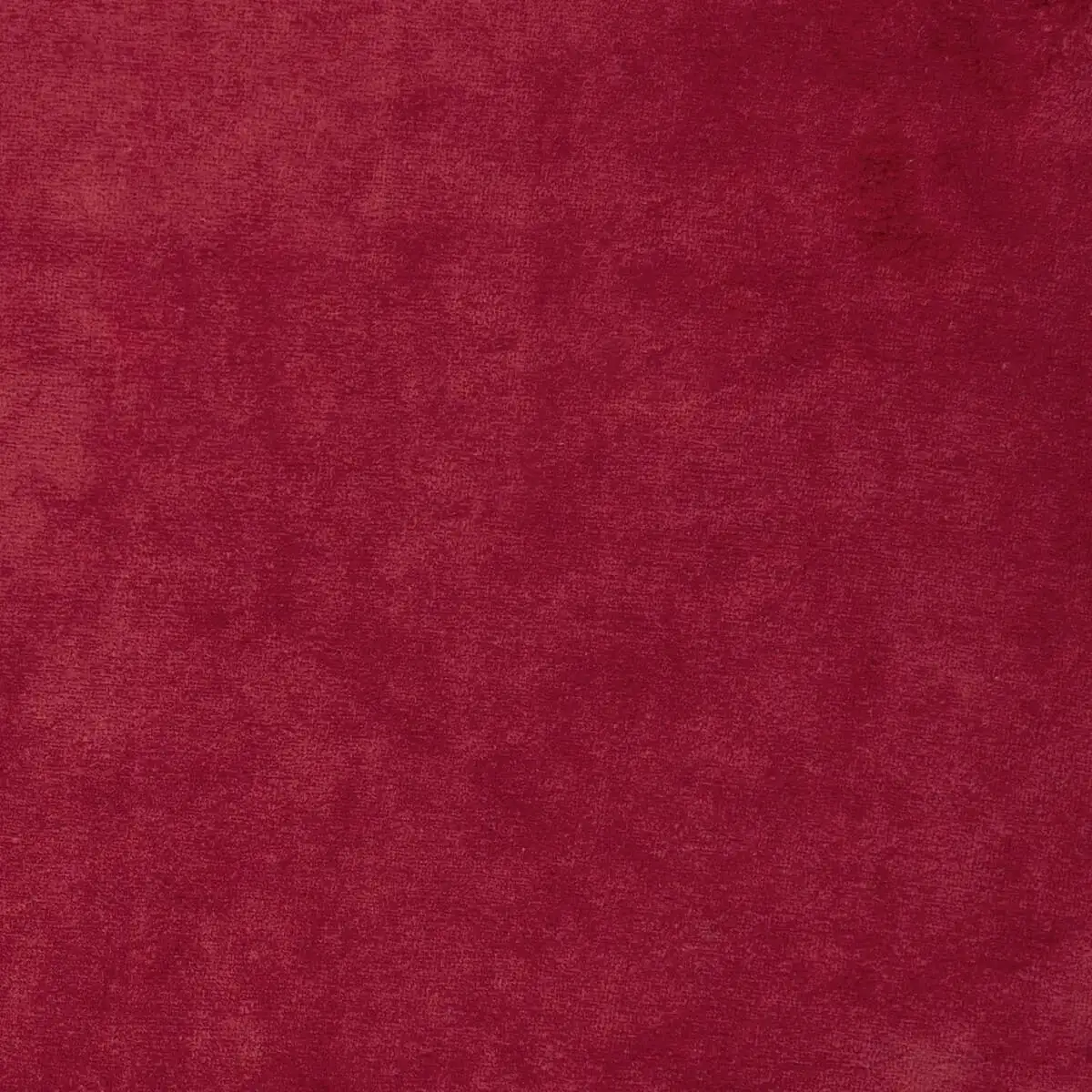 Knit Velvet Cotton - Point velvet
