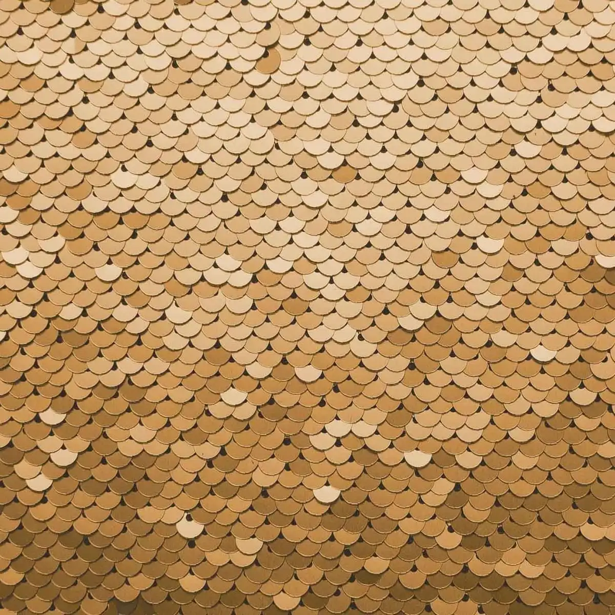 Bicolor Pailletes - Reversible Lentejuelas