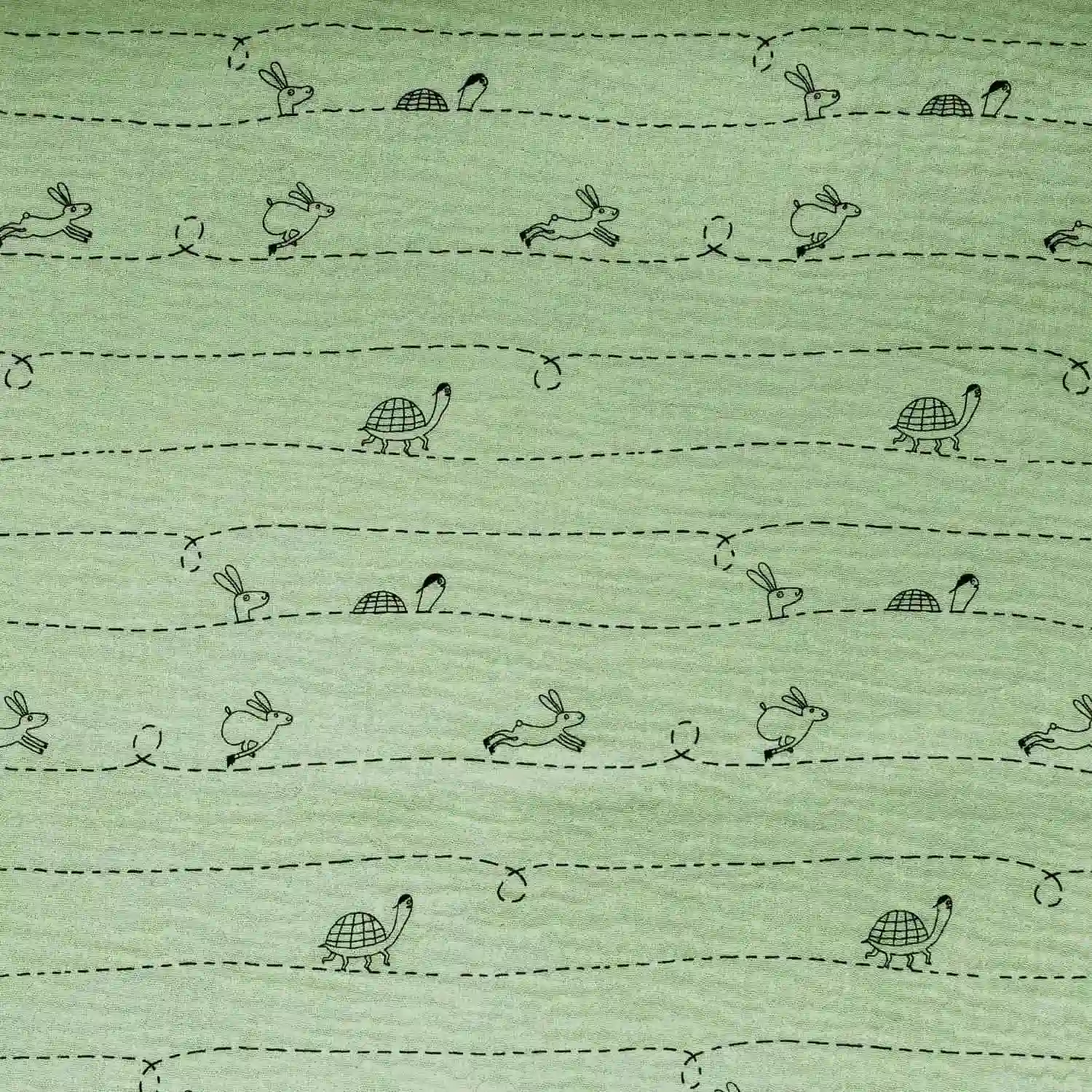 Mousseline Green Tourtoise and the Hare