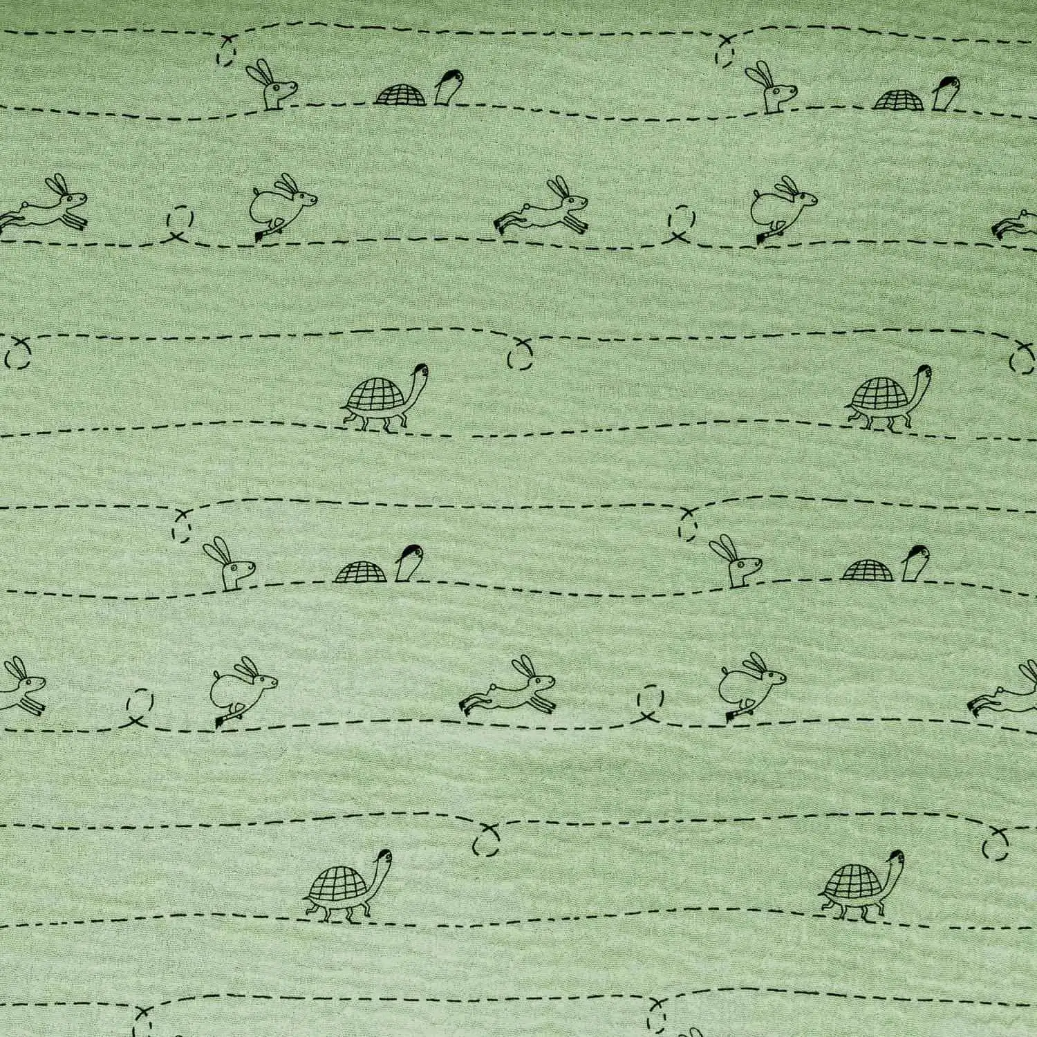 Mousseline Green Tourtoise and the Hare