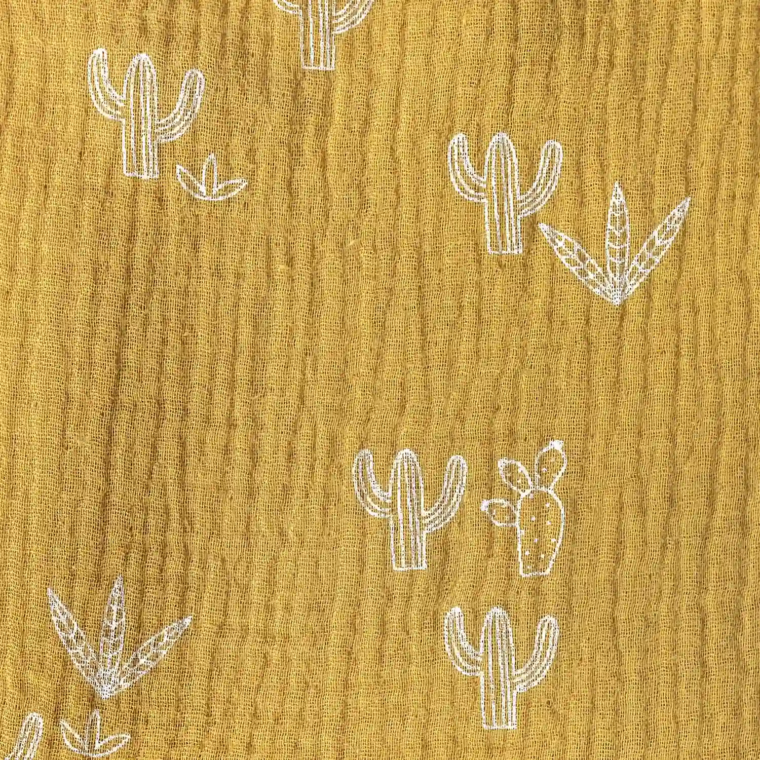 Mousseline Cactus