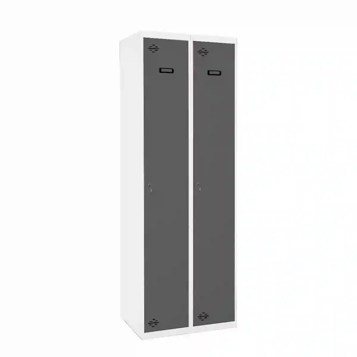 Taquilla SIMONLOCKER PROF. MON.SINGLE-DIV 2/2 500(1000)B/AN - 8425437108020 - Simon Rack