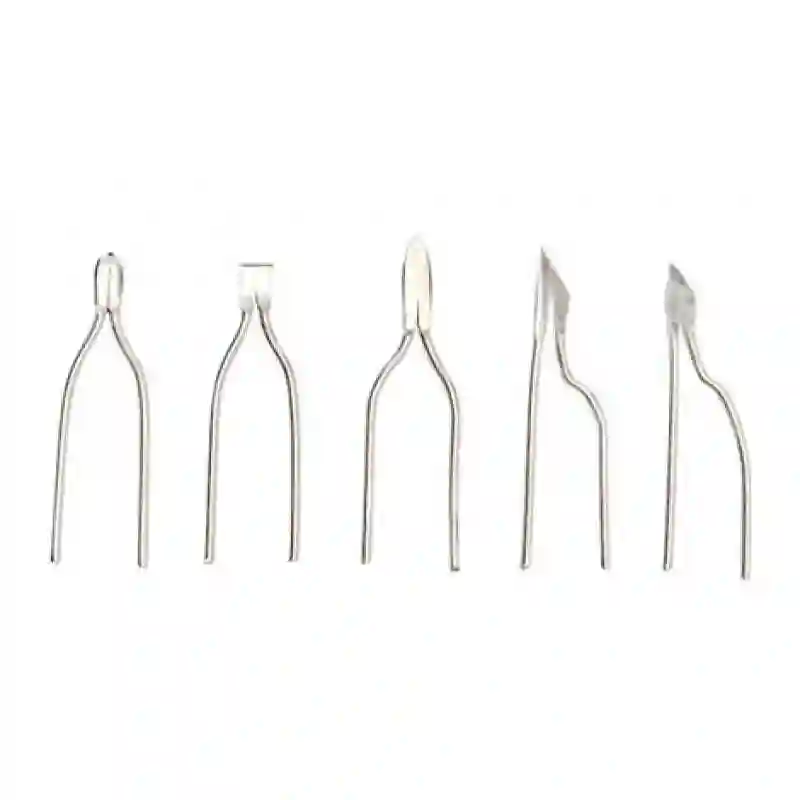 Juego de 5 puntas para pájaros con el pirograbador Fire Writer ANTEX Craft
