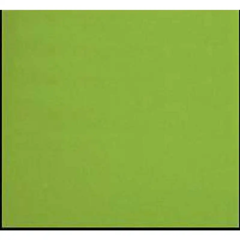 Plancha de acetato de celulosa Pistacho 70x60 cm R.Agulló
