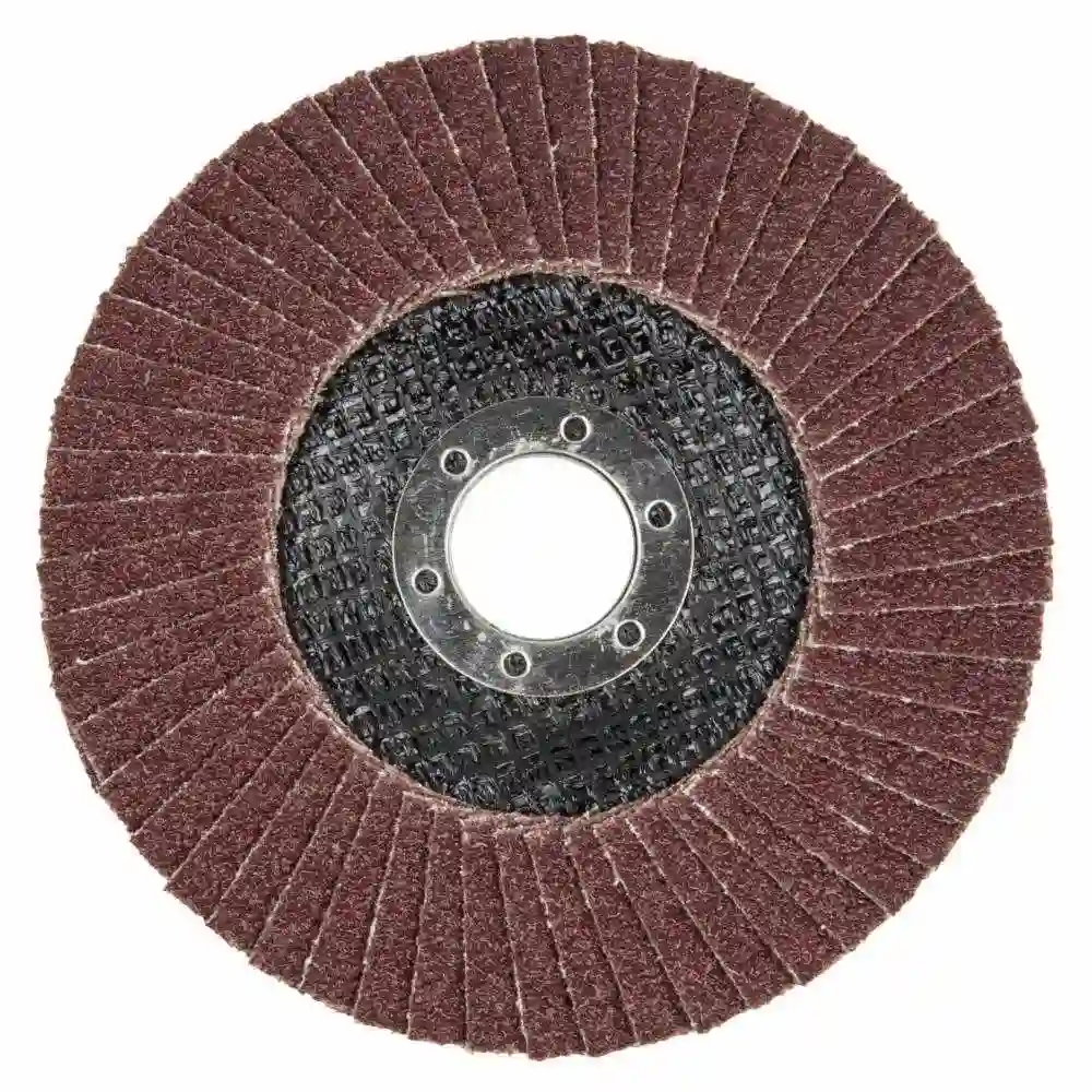1 disco de láminas abrasivo WS. grano 40 Ø 125 mm 8425000 Wolfcraft