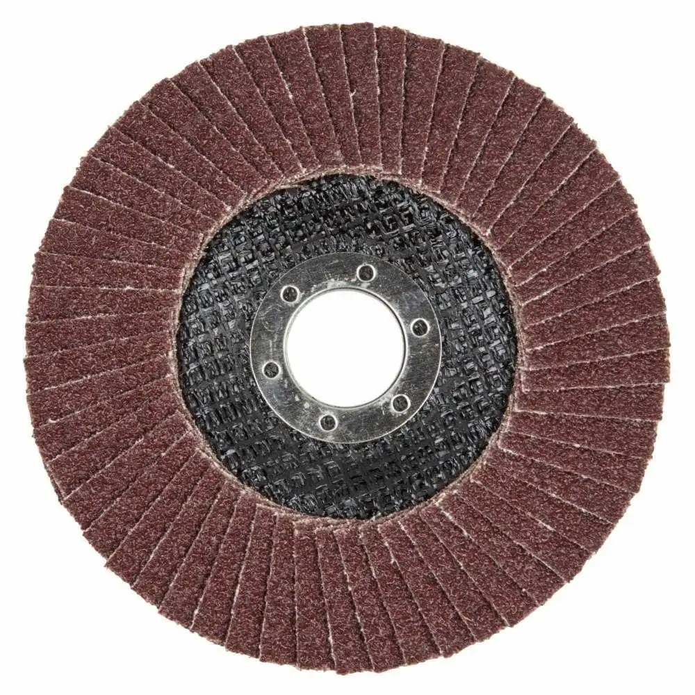 1 disco de láminas abrasivo WS. grano 40 Ø 125 mm 8425000 Wolfcraft