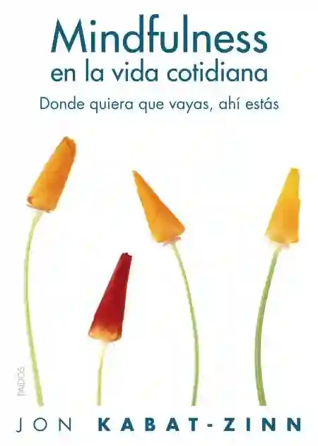 MINDFULNESS EN LA VIDA COTIDIANA: CÓMO DESCUBRIR LAS CLAVES DE LA ATENCIÓN PLENA