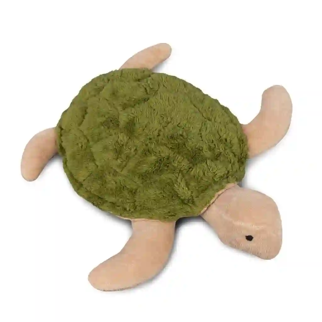 Small green turtle stuffed