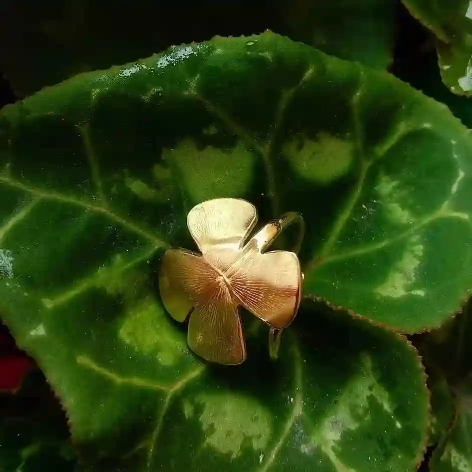 Anillo Trébol