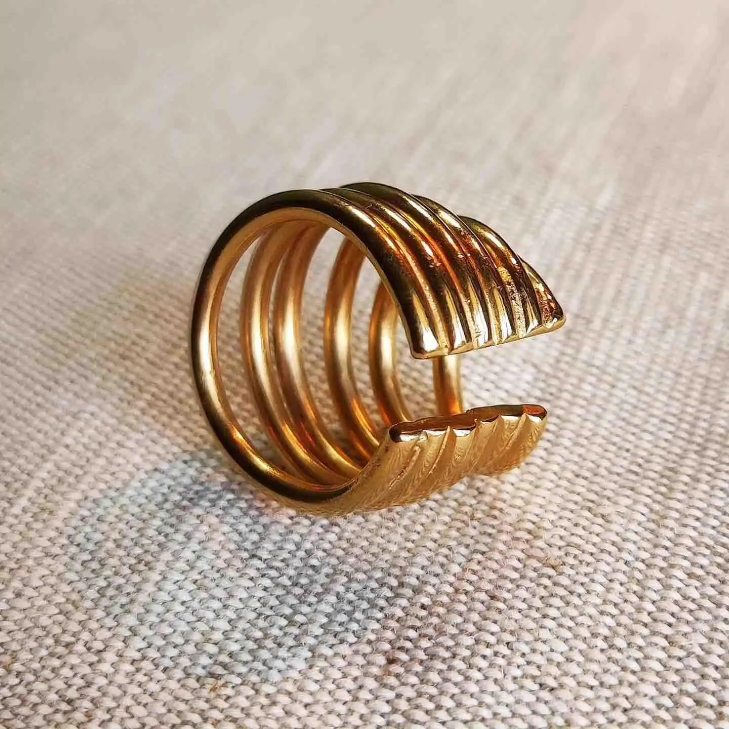 Aura del manguito de oreja - Imagen 4