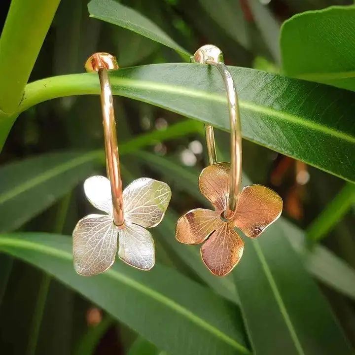 Conjunto de hortensias - Imagen 8