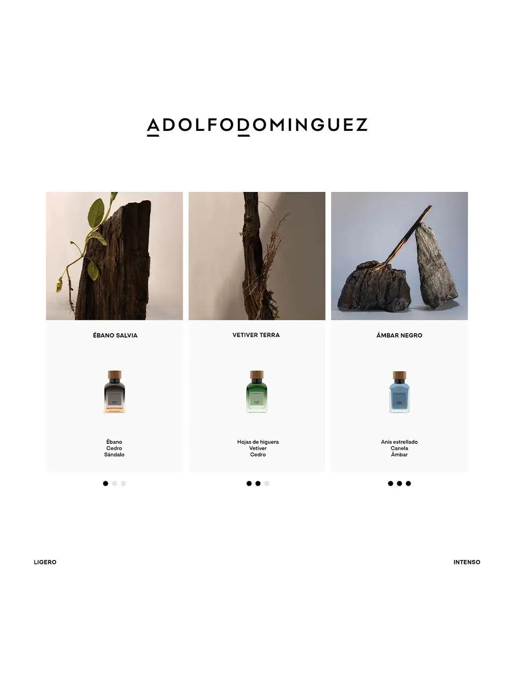 Ámbar Negro - Imagen 5