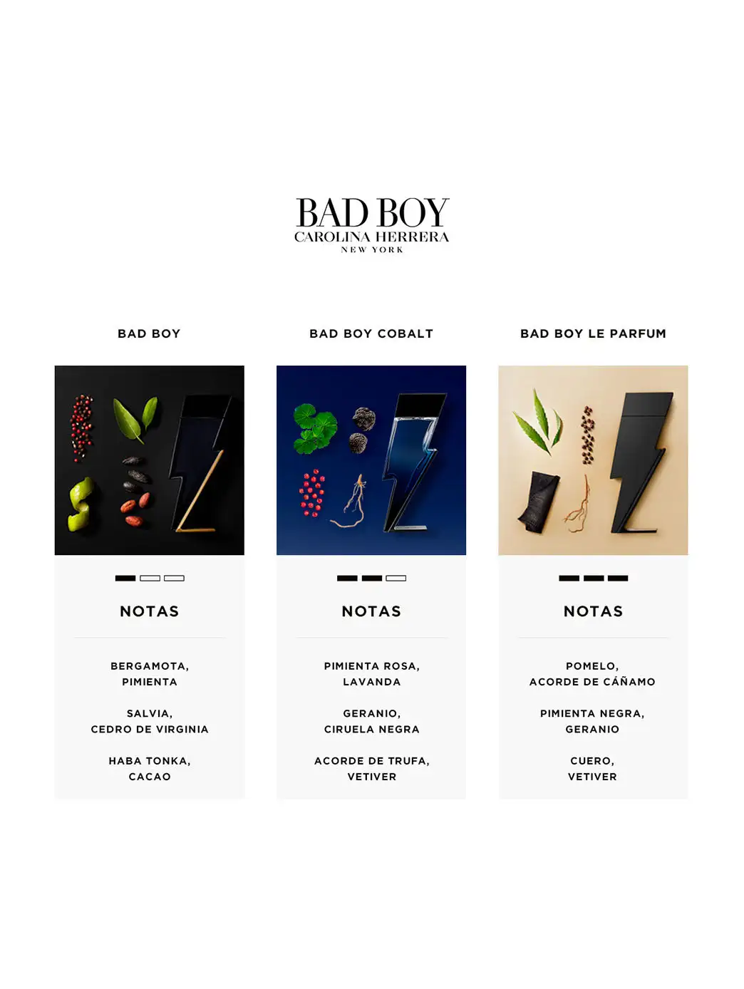 Bad Boy - Imagen 72