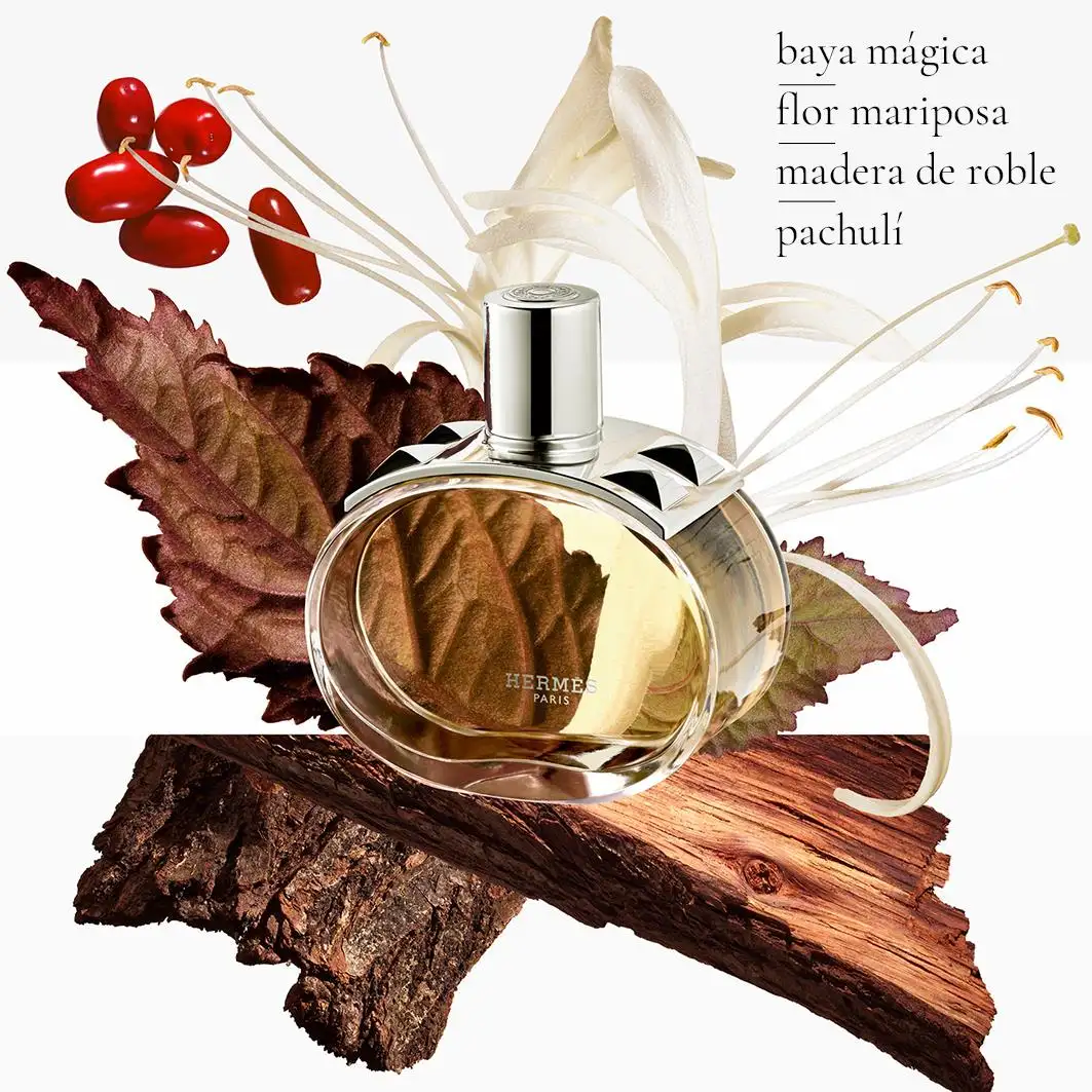 Barénia Refill - Imagen 4