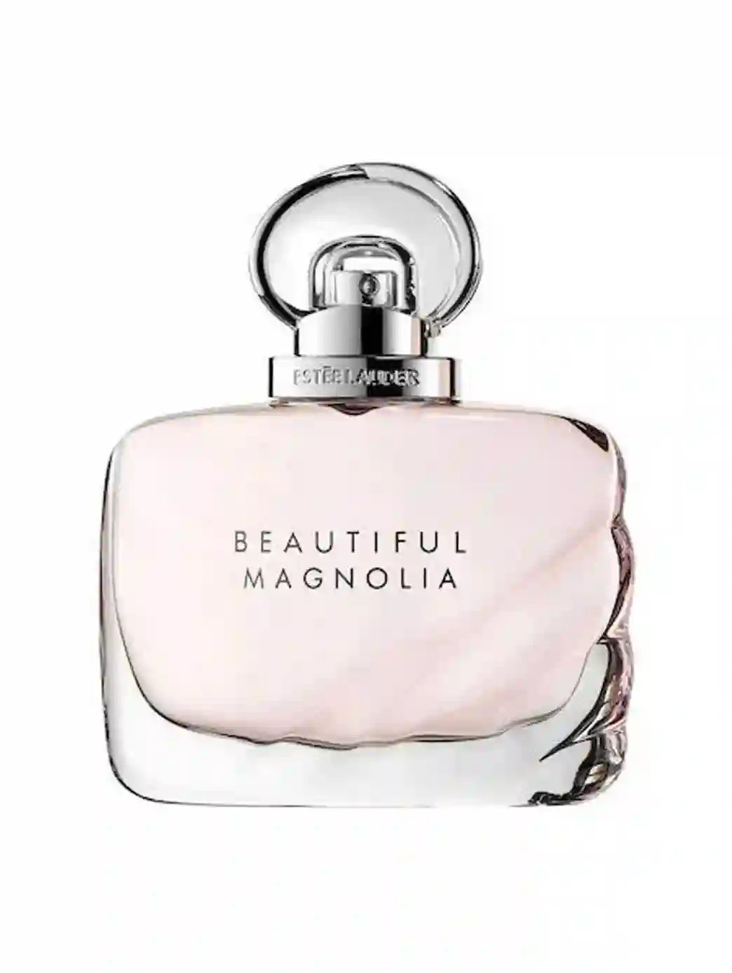 Beautiful Magnolia