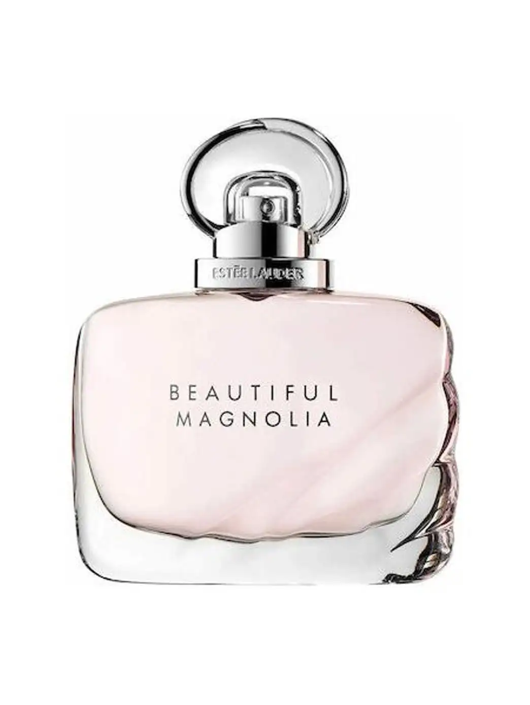 Beautiful Magnolia - Image 6