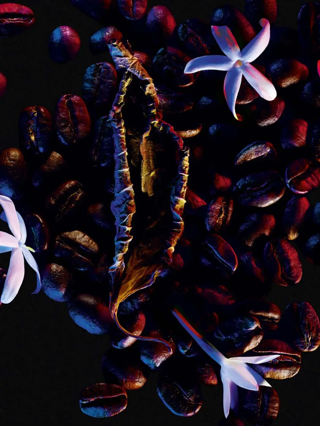 Black Opium - Imagen 6