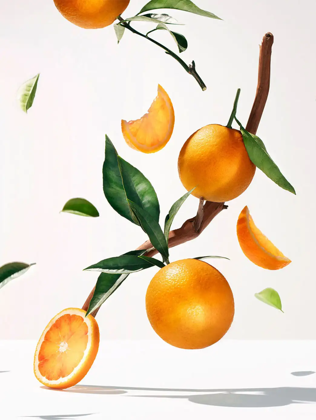 Bois D'Orange - Imagen 8