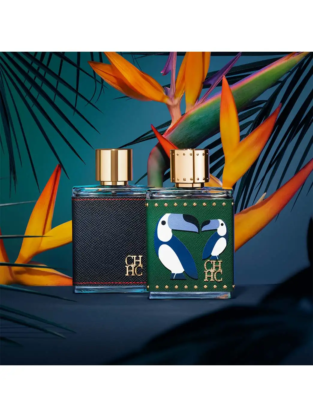 CH Men Birds of Paradise - Imagen 4