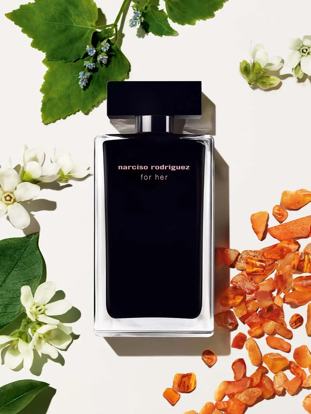 COFRE FOR HERE EAU DE TOILETTE - Image 5