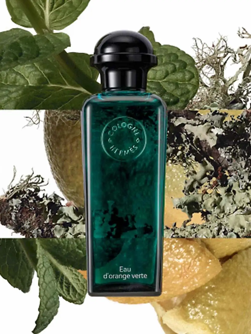 Concentrate d’Orrange see you - Image 6